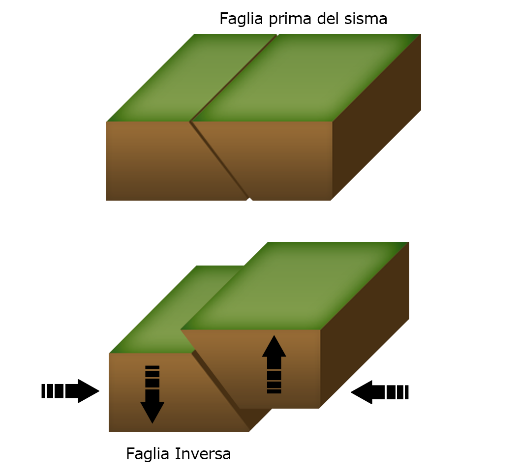 Terremoto sisma faglia inversa